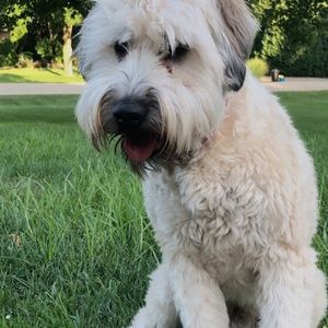 Meet your Posher, Leah